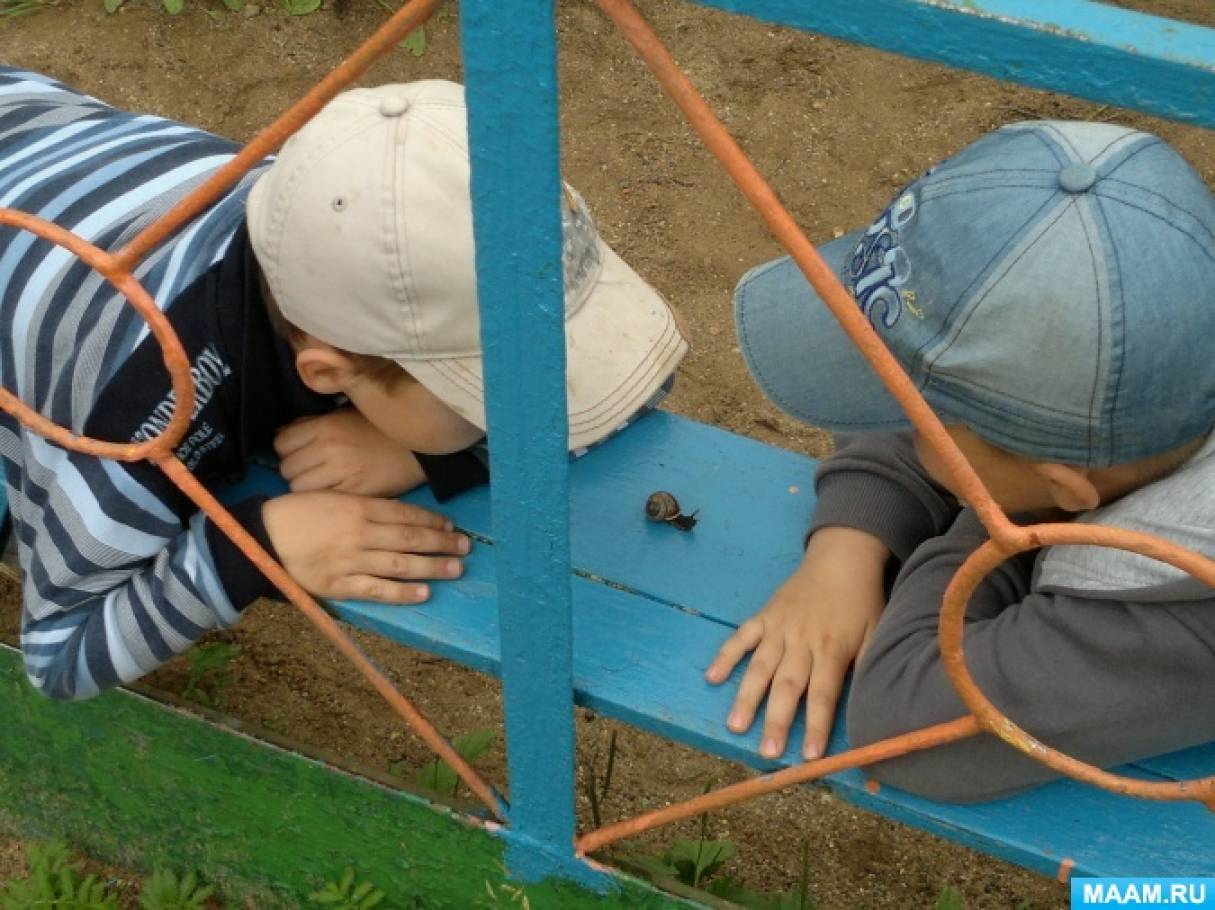 ����������-������������ ������������ �����������, ����!� � ������� ������