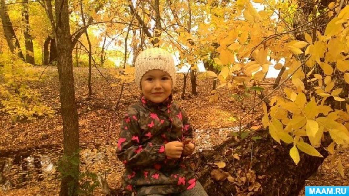 Фотовыставка «Осенний букет» Фото Фотовыставка «Осенний букет»