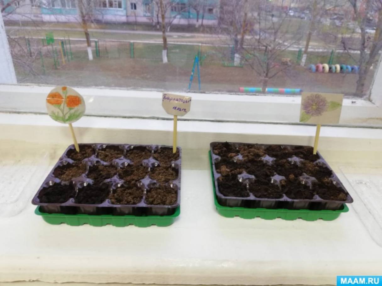 акция подари цветок детскому саду. Смотреть фото акция подари цветок детскому саду. Смотреть картинку акция подари цветок детскому саду. Картинка про акция подари цветок детскому саду. Фото акция подари цветок детскому саду акция подари цветок детскому саду. Смотреть фото акция подари цветок детскому саду. Смотреть картинку акция подари цветок детскому саду. Картинка про акция подари цветок детскому саду. Фото акция подари цветок детскому саду