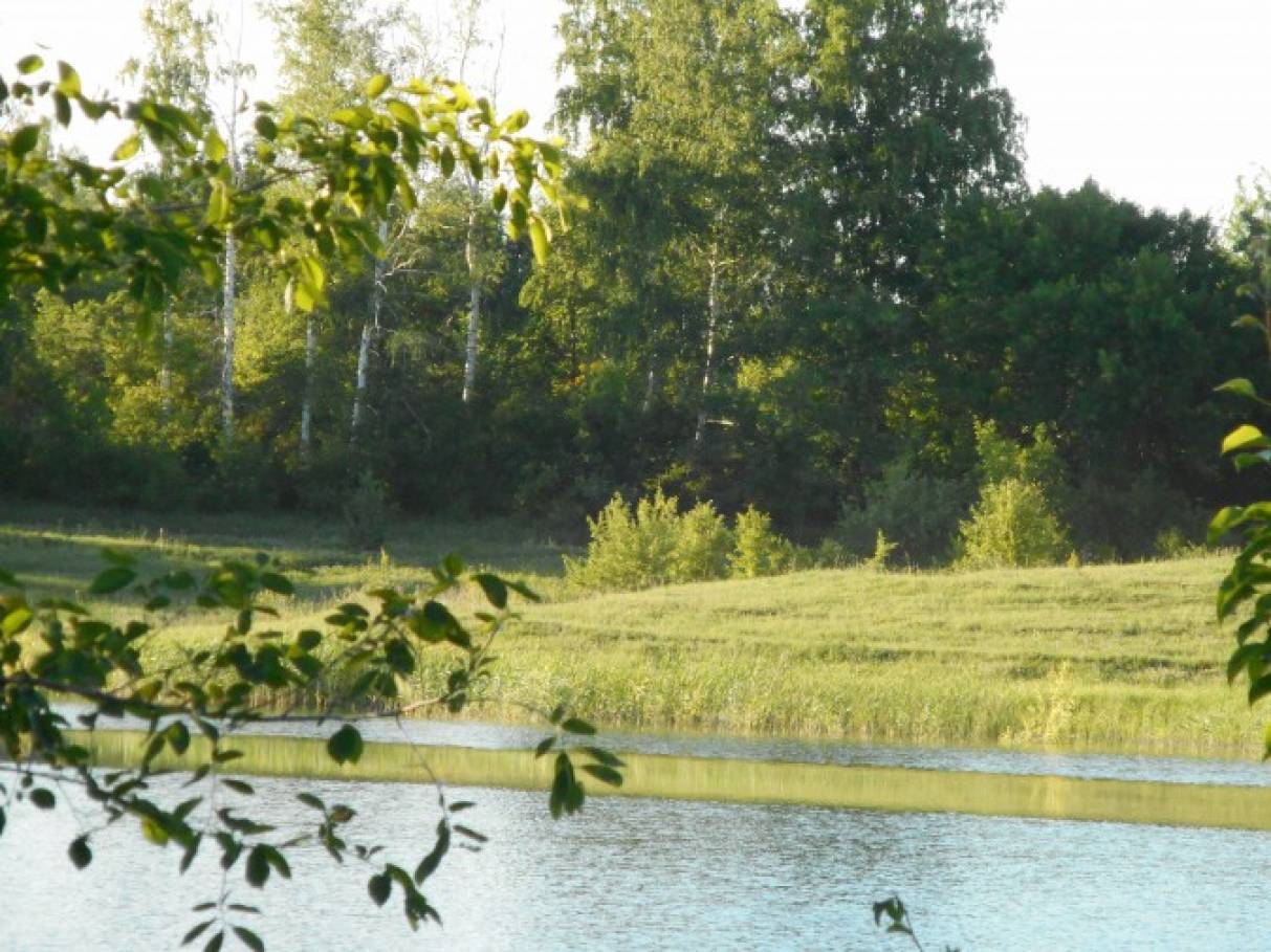 Отдых на природе — фотоотчёт Фото Отдых на природе — фотоотчёт