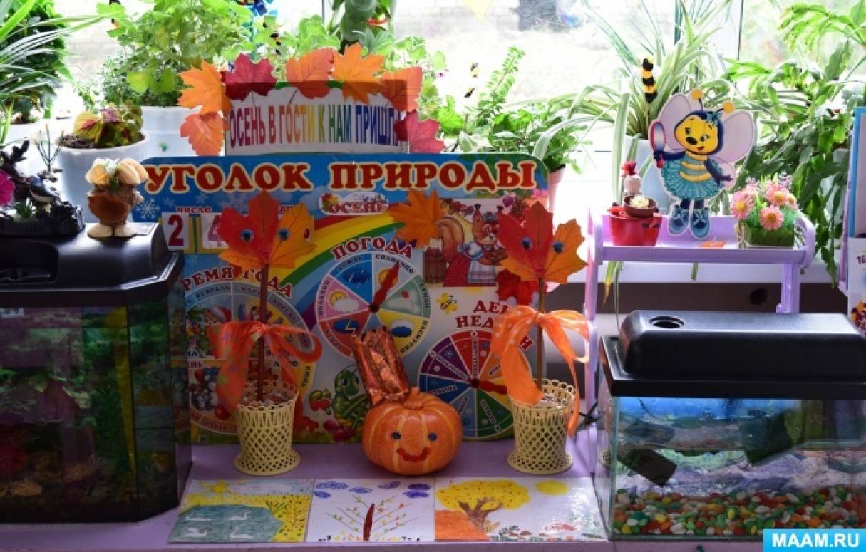 Фотоотчёт «Осеннее оформление группы»