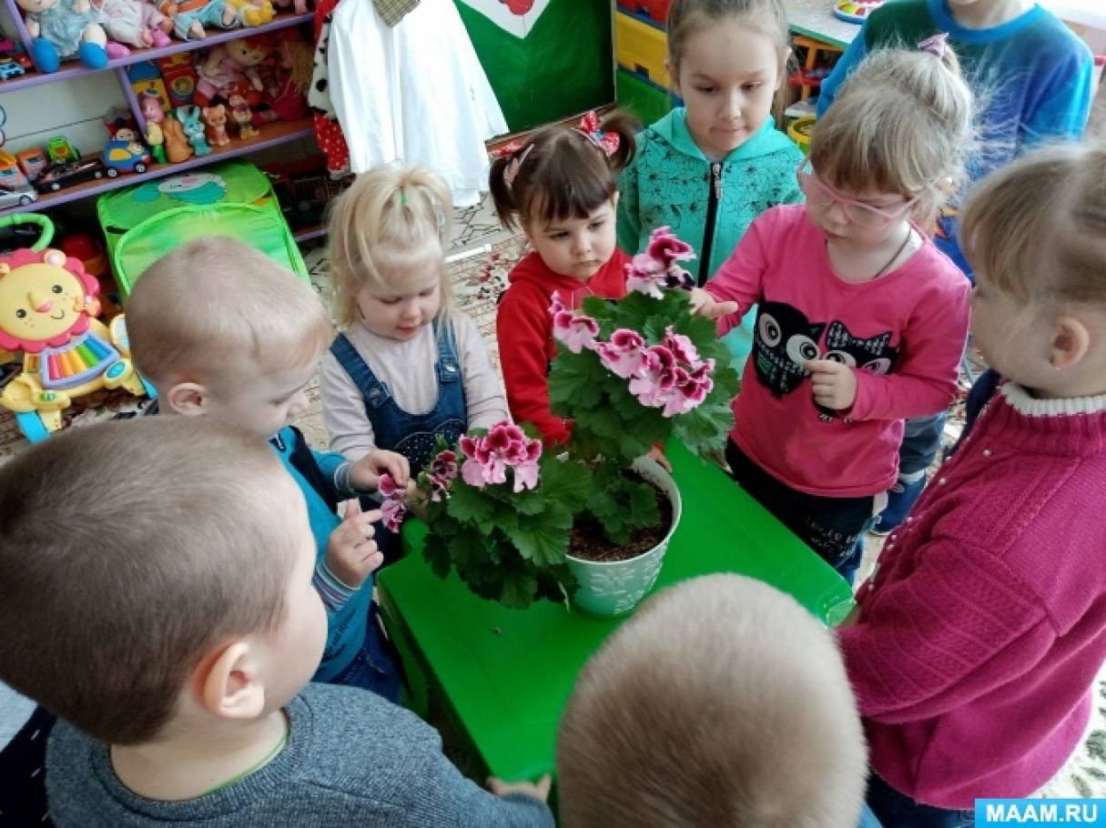 Цветы для детской комнаты: 13 лучших растений и 35 фото
