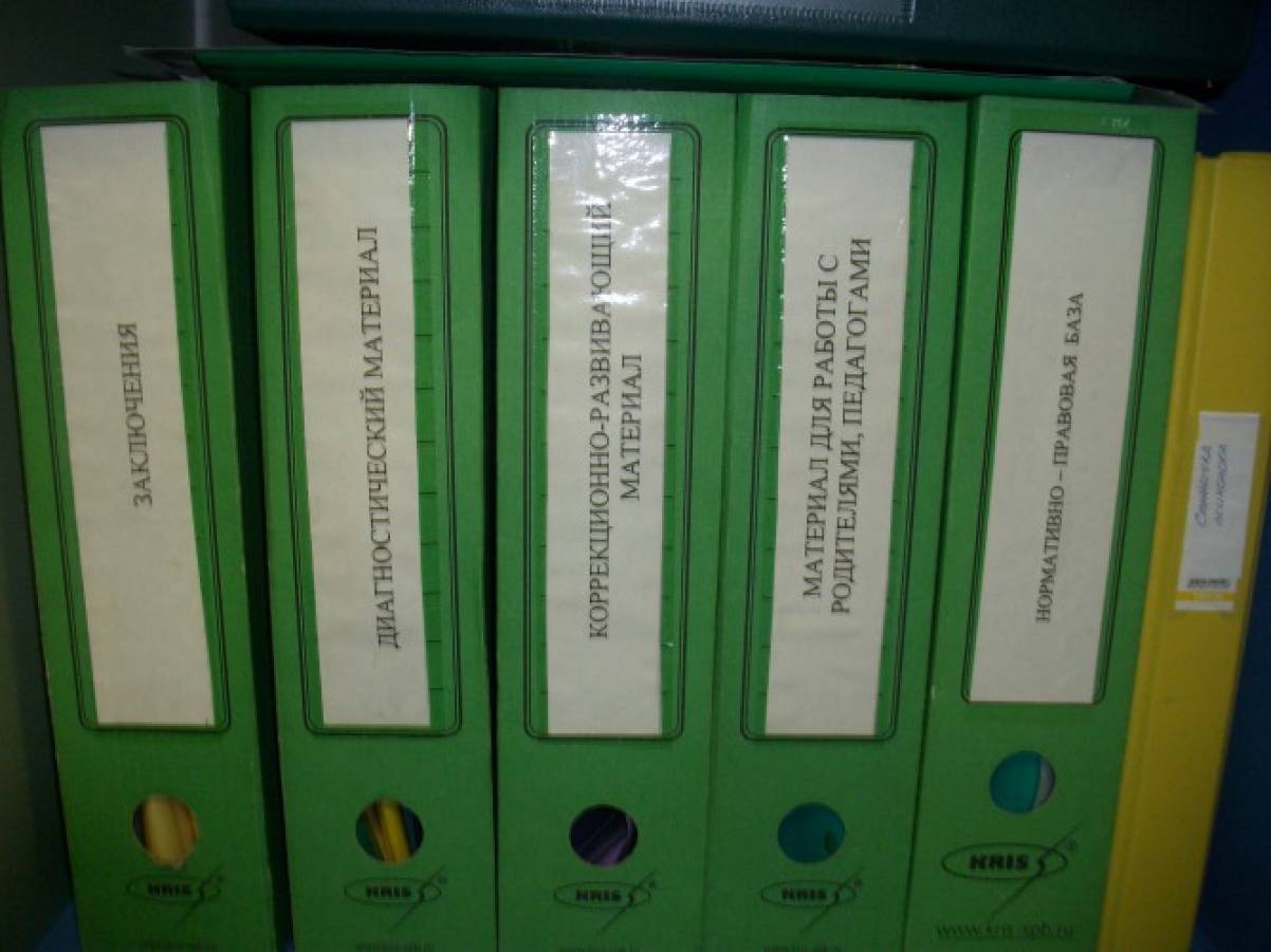 Папка логопеда. Документация психолога. Папки логопеда в детском саду. Папки в логопедическом кабинете. Документация психолога в детском саду.