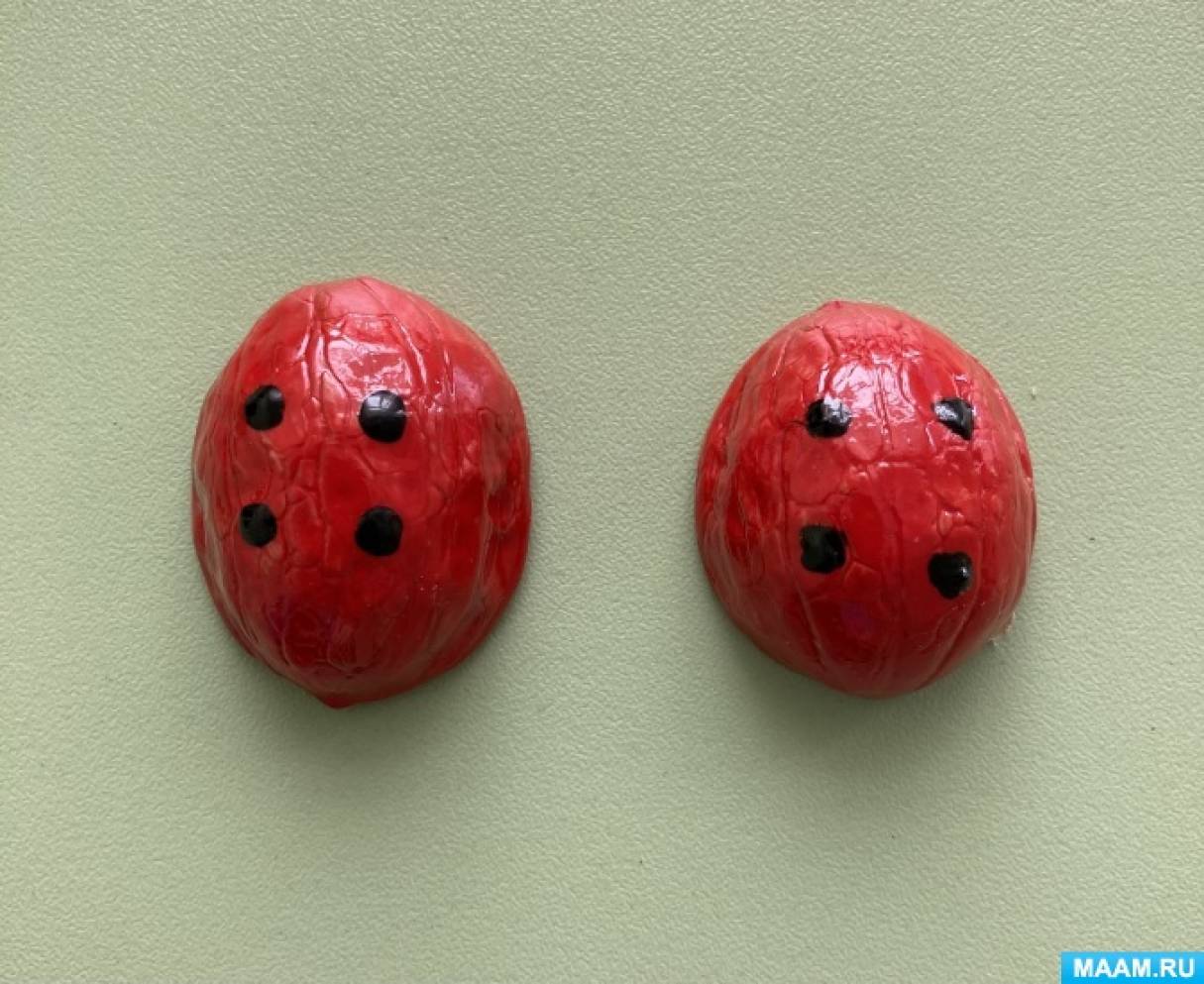 Божья коровка из грецкого ореха