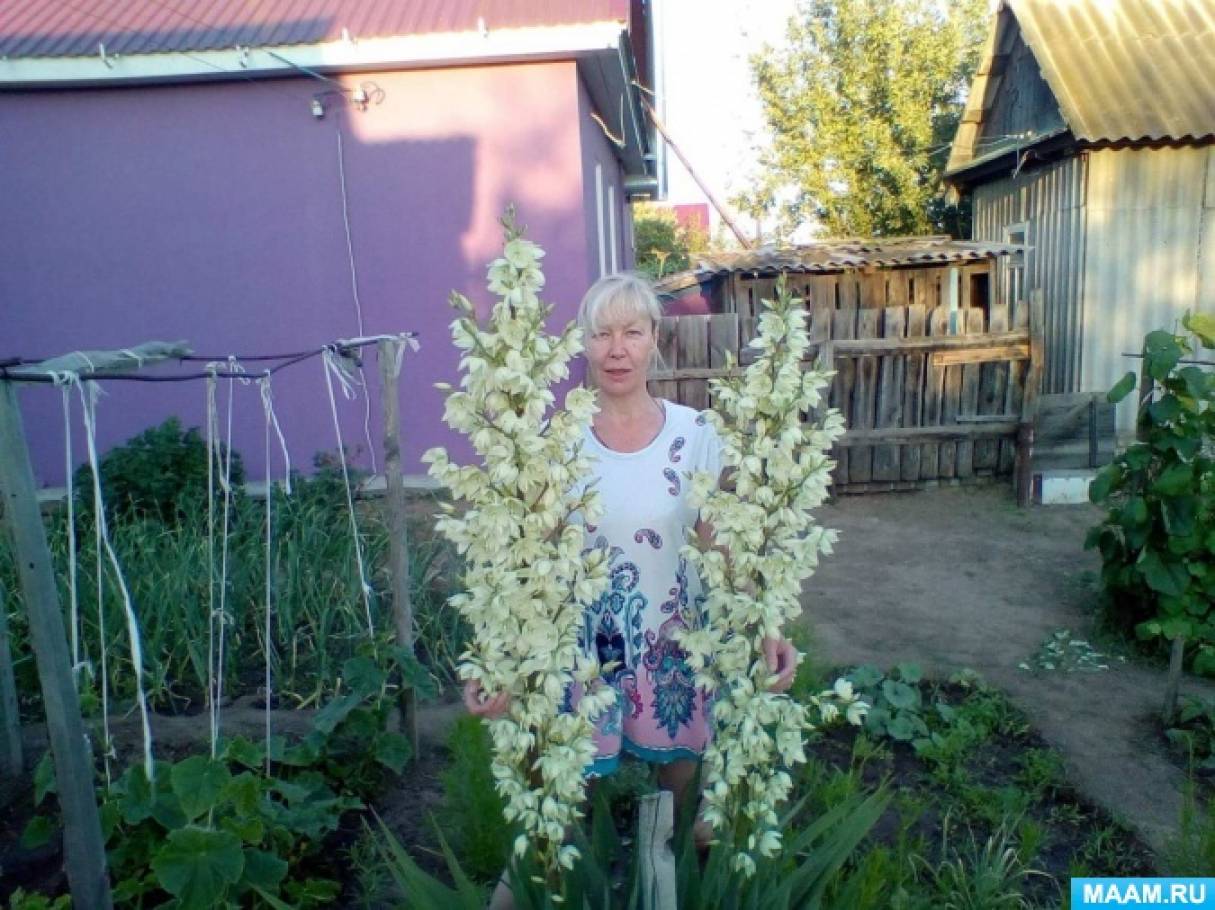 А усачева что такое лето. detsad 2315366 1617178486. А усачева что такое лето фото. А усачева что такое лето-detsad 2315366 1617178486. картинка А усачева что такое лето. картинка detsad 2315366 1617178486