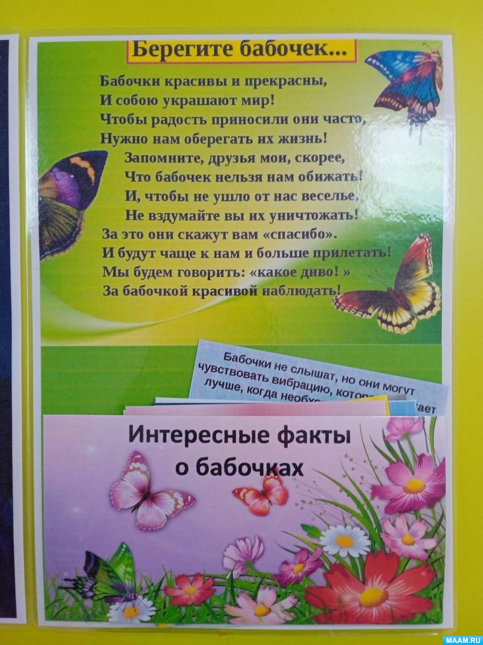 Альбом «Бабочки» (6 фото). Воспитателям детских садов, школьным ...