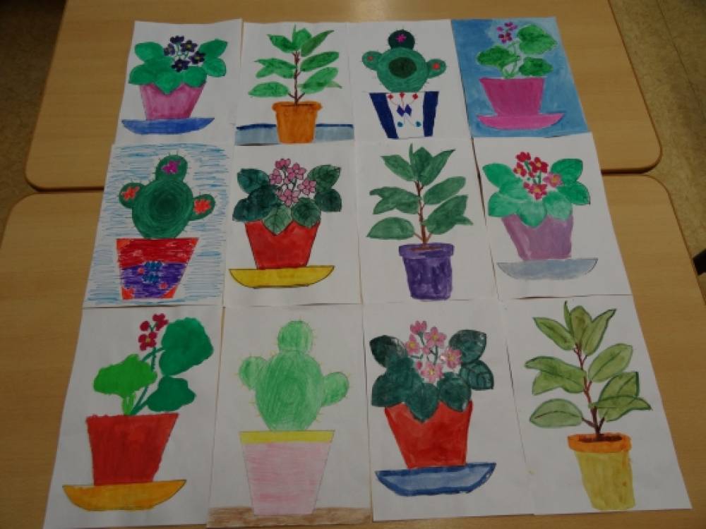 Мир цветов младшая группа. Рисование комнатные растения подготовительная группа. Рисование комнатные растения средняя группа. Рисование комнатные растения старшая группа. Рисование комнатные цветы старшая группа.