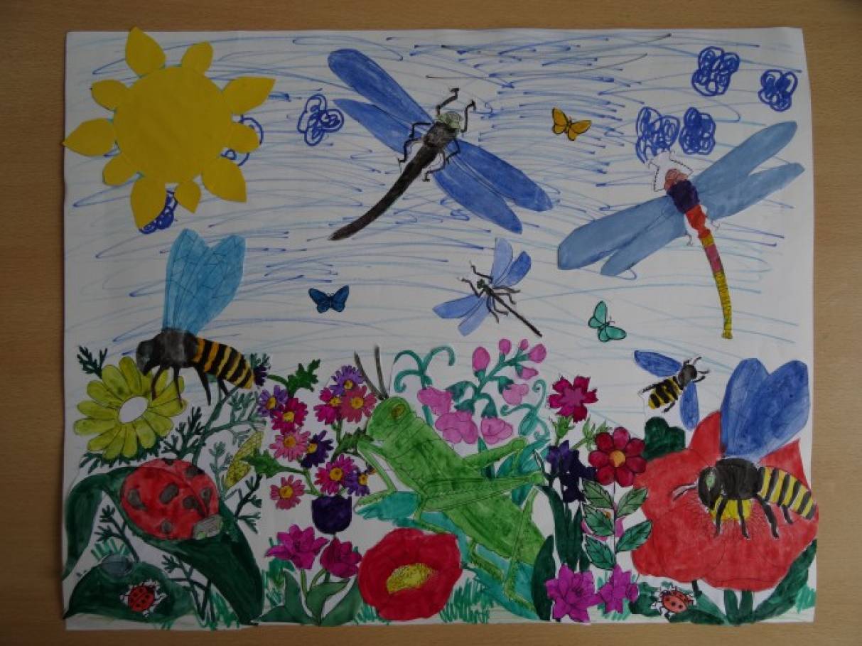 Рисование на тему насекомые в старшей группе. Рисование насекомые в подготовительной группе. Рисование с детьми на тему насекомые. Мир насекомых рисование подготовительная группа. Рисование лето в подготовительной группе.