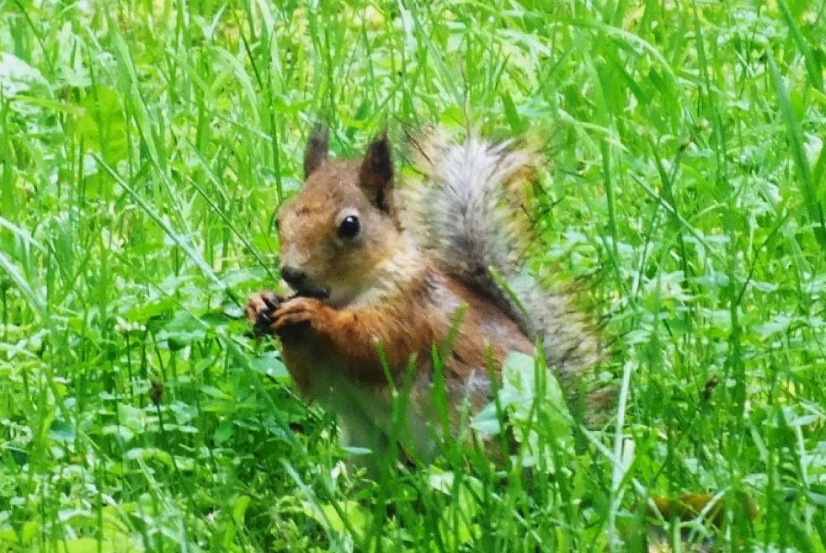 ������������堗 �����!� ���������� �� ������ (�������������)