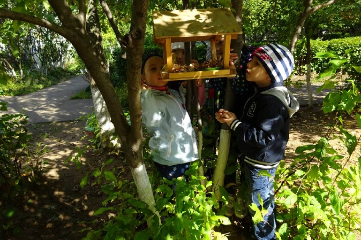 «Как мы заботимся о птицах». Наблюдения на прогулке (фотоотчет) Фото «Как мы заботимся о птицах». Наблюдения на прогулке (фотоотчет)