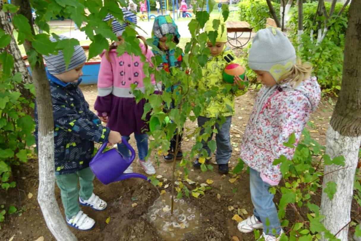 В саду посадили 96 яблонь. Сажаем деревья в детском саду. Посадка деревьев в детском саду. Дети наблюдают за природой. Наблюдение за деревьями на участке.