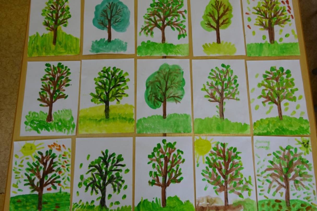 Занятие деревья подготовительная группа. Деревья младшая группа. Деревья старшая группа. Деревья и кустарники в детском саду. Дерево для детсада.
