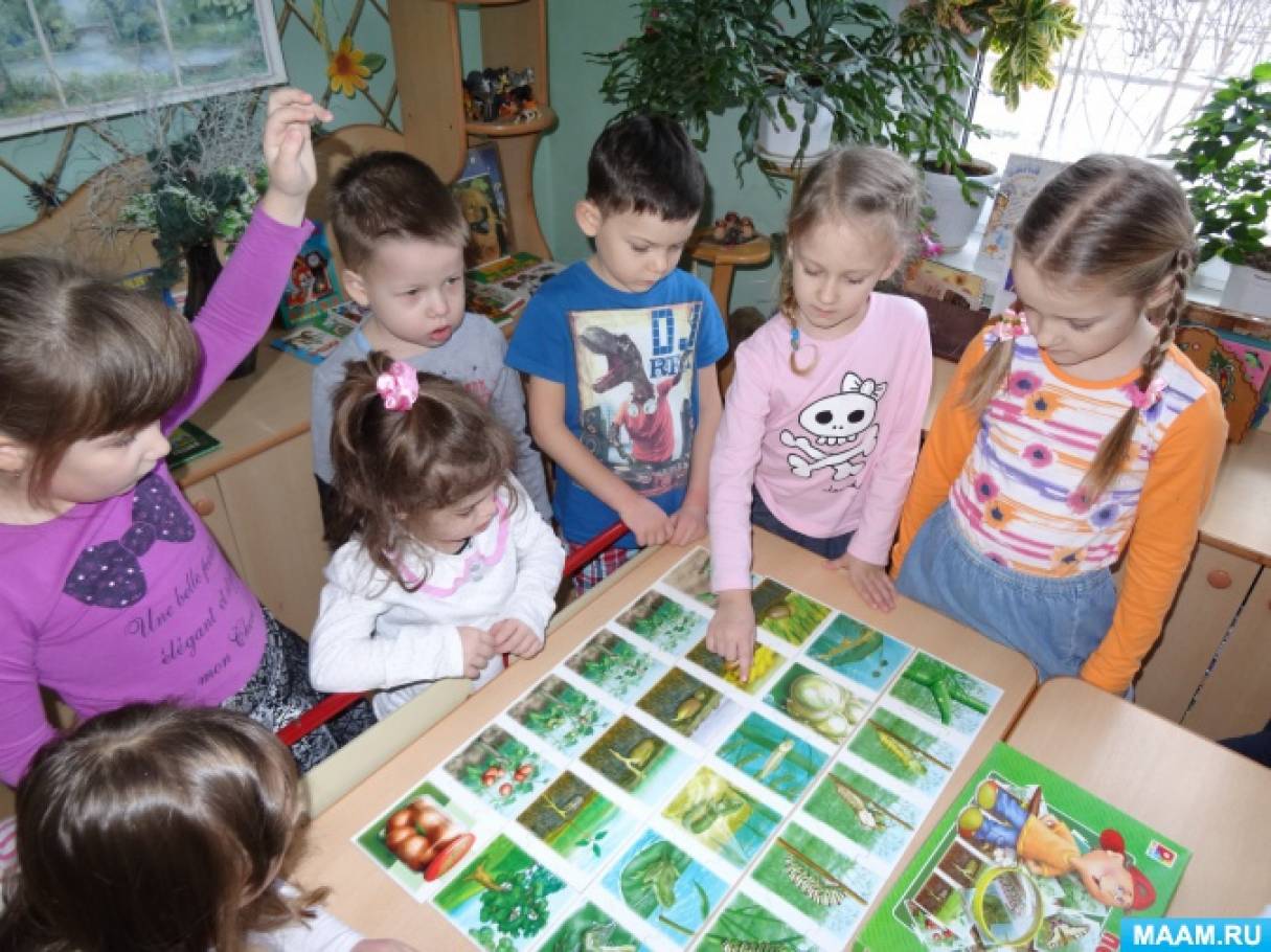 Занятие по экологии в доу. Занятие по экологии. Экологические занятия в ДОУ. Дети в саду на занятии по экологии. Дидактические игры экологическое воспитание.
