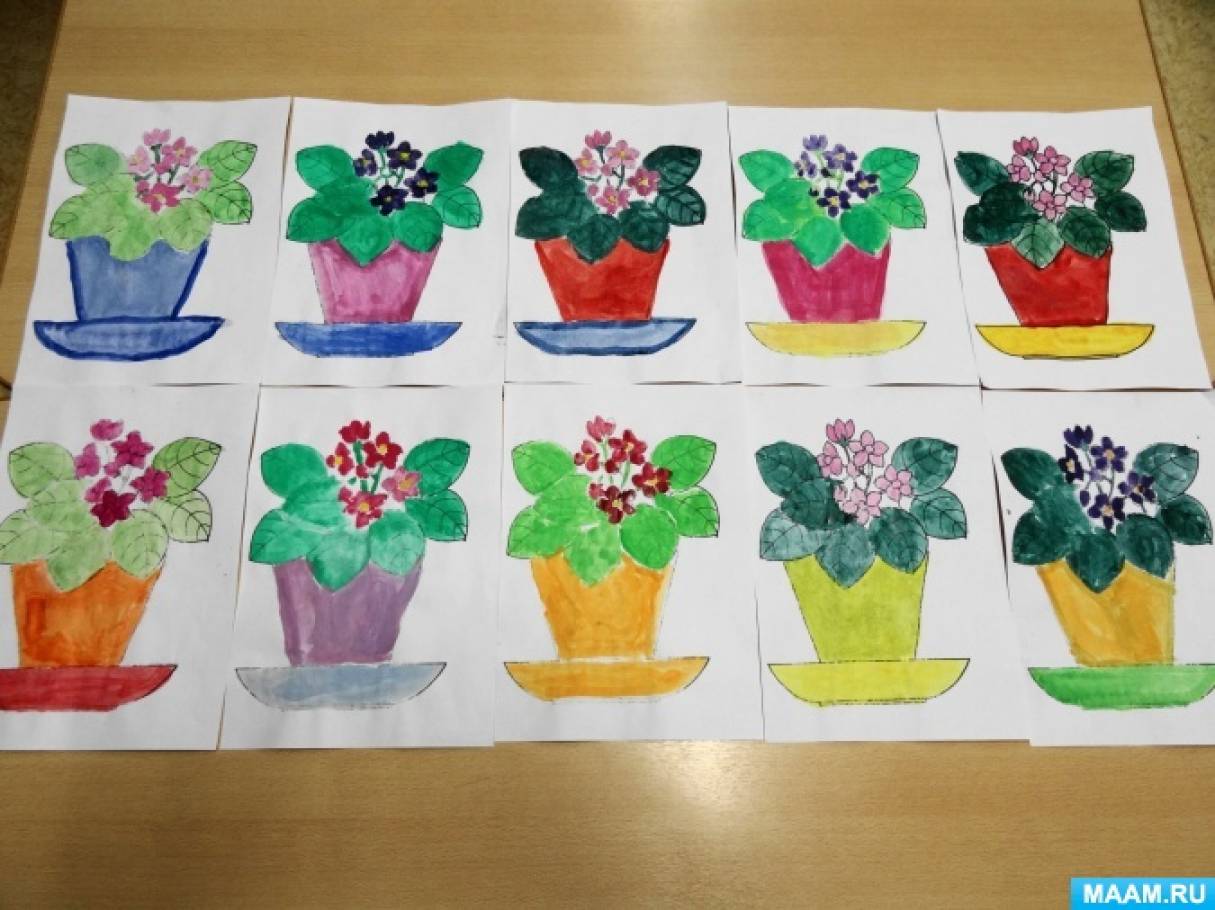 Занятие цвет средняя группа. Рисование в подготовительной группе на тему комнатные растения. Рисование комнатные растения средняя группа. Рисование комнатные цветы средняя группа. Цветы подготовительная группа.