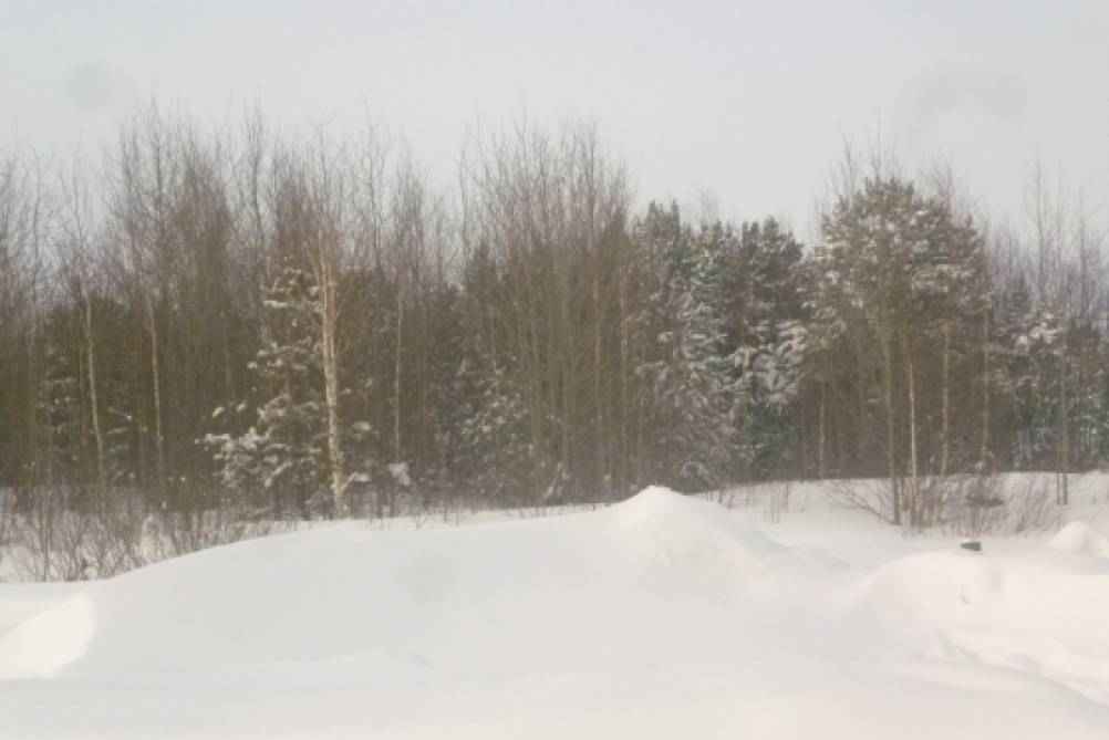 ��������� ������������ ������ ������