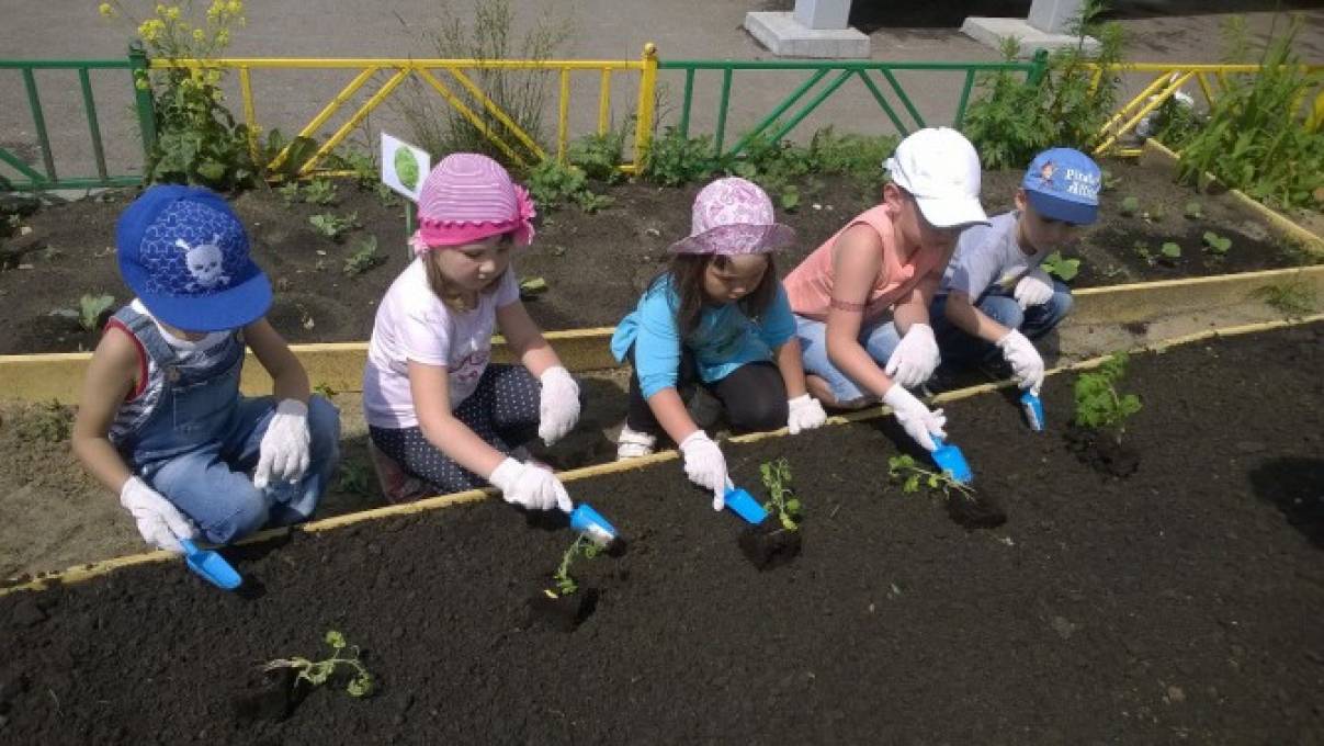 Трудовая деятельность на прогулке в старшей группе