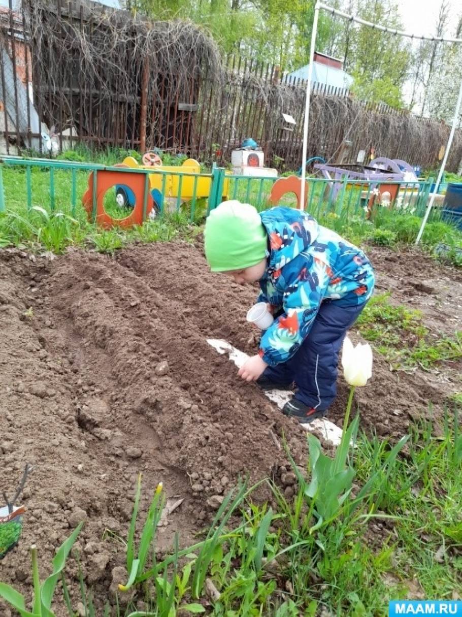 Оформление участков и площадок детского сада . Воспитателям детских ...