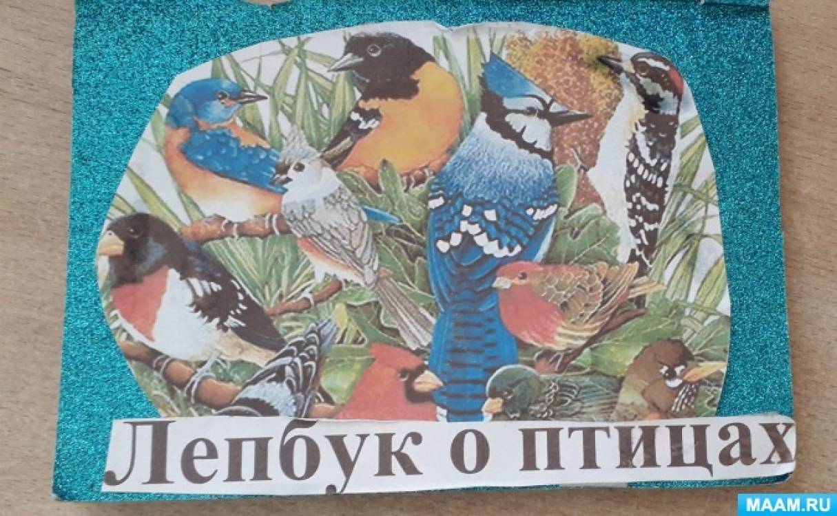 Лэпбук о птицах для детей среднего дошкольного возраста