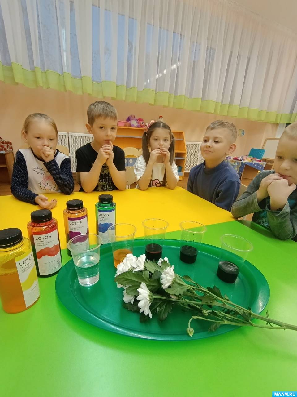 ��������� � ������� �� ������������������� ������� ������ � ������������ ���������� � ���������������� ������