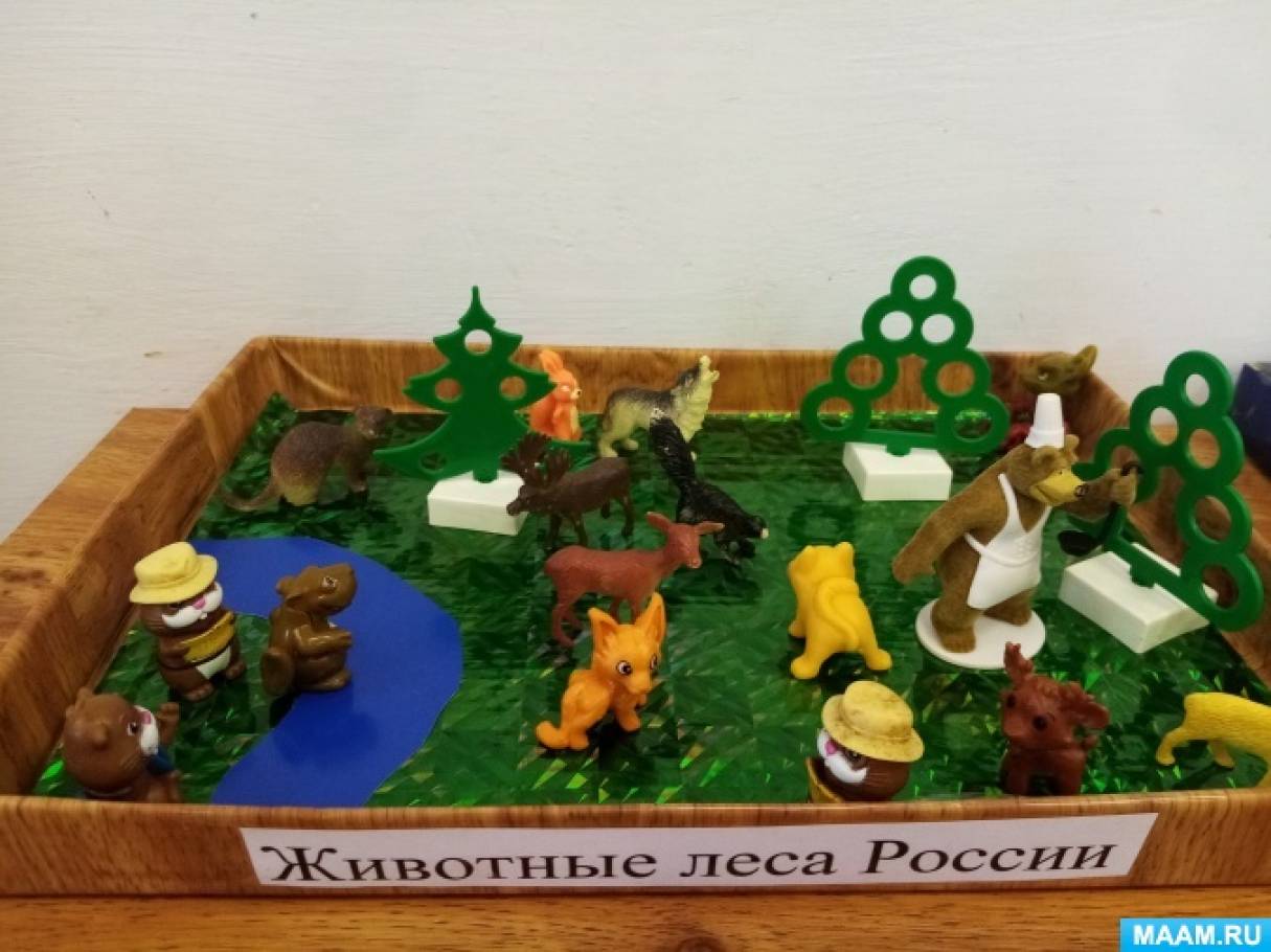 Создание наглядного пособия-макета «Животные леса России« Фото Создание наглядного пособия-макета «Животные леса России«