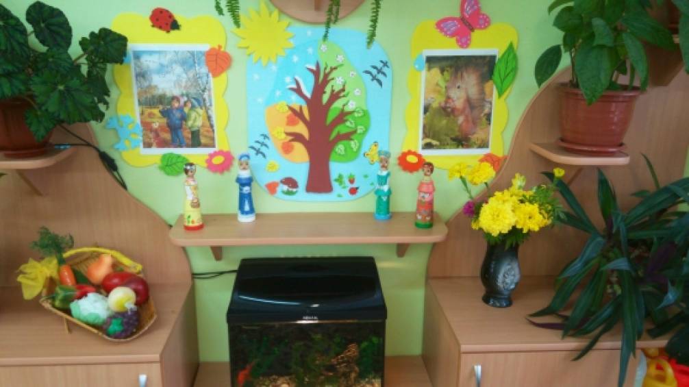 Уголок природы Фото Уголок природы