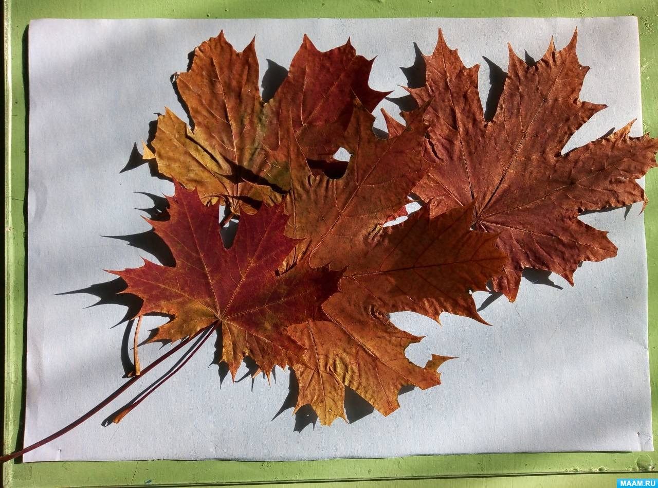 ��������� � �������� ���������� �� ����� ������ � �������, ������������� �������� �����������