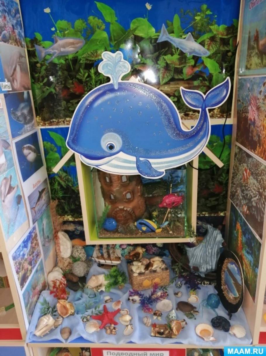 Мини-музей «Морская сказка»