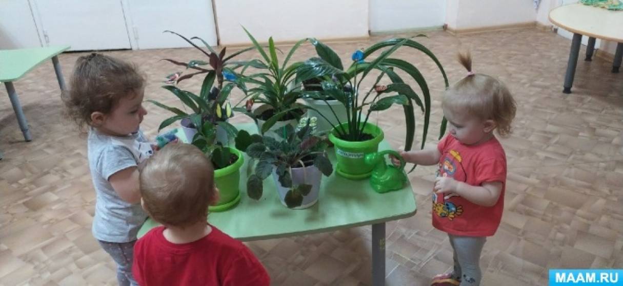 Ежедневное планирование комнатные растения. Уход за комнатными растениями в младшей группе.