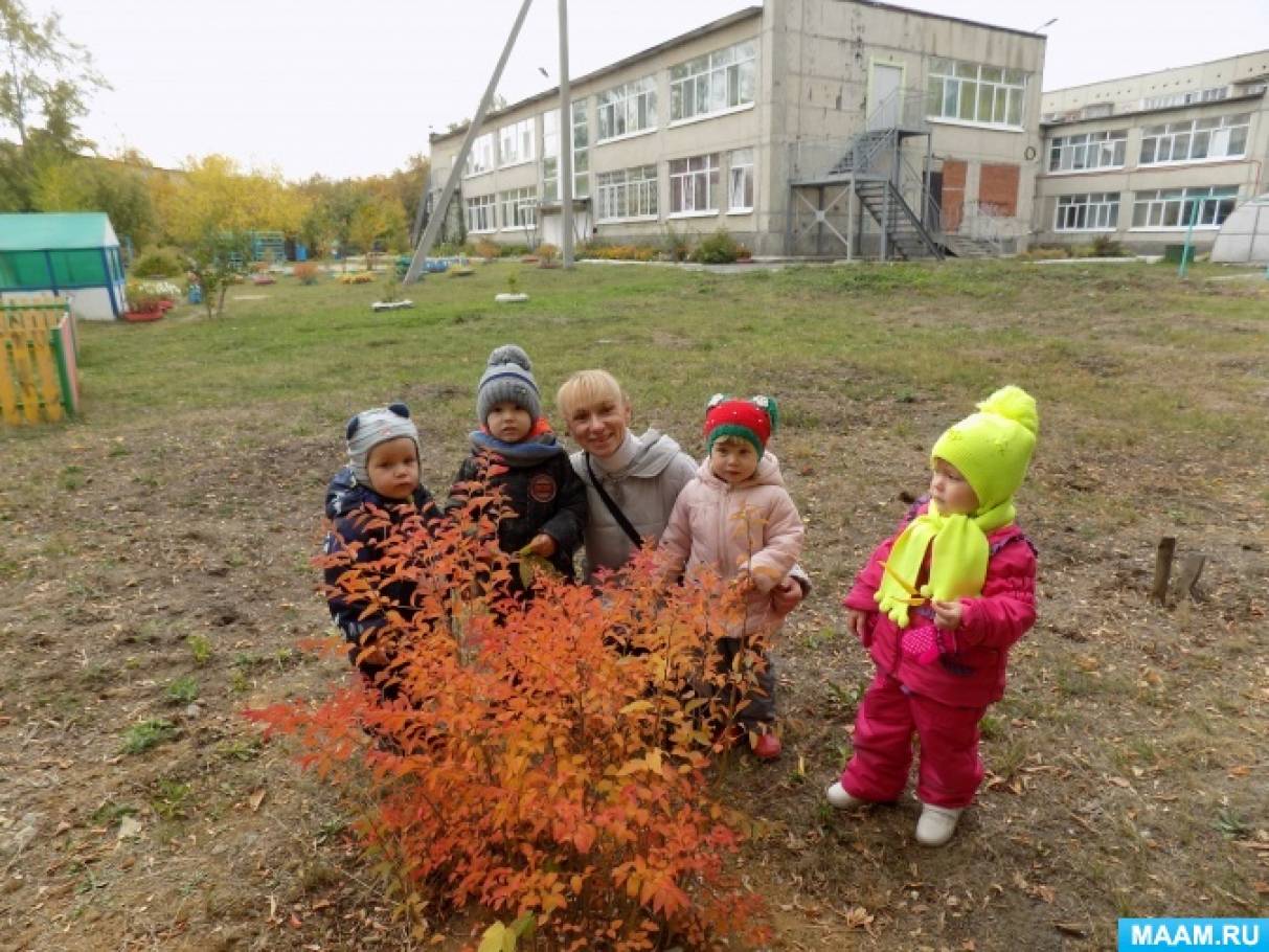 Первая осенняя прогулка малышей «Осенняя пора» Фото Первая осенняя прогулка малышей «Осенняя пора»