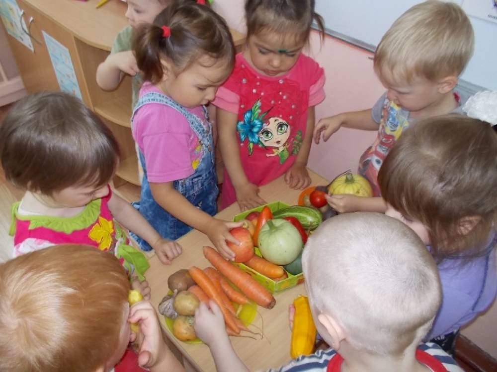 Овощи первая младшая группа. Занятие овощи и фрукты в младшей группе. Занятия фрукты ясли. Фрукты для занятия в детском саду. Занятие в ясельной группе фрукты и овощи.