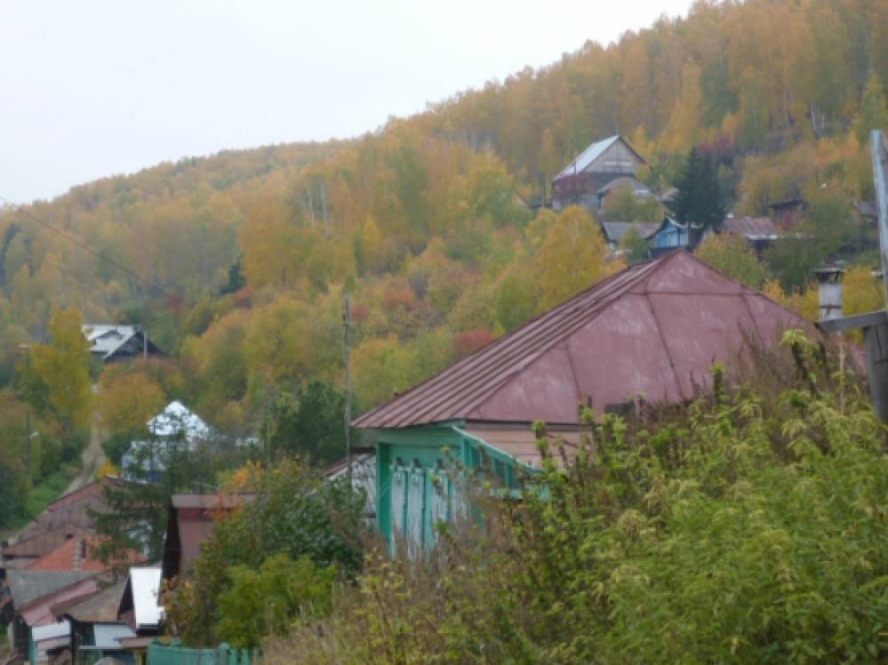 Смотреть фотографию №14 Фото №14 Давайте посмотрим что было весной возле моего дома и в огороде