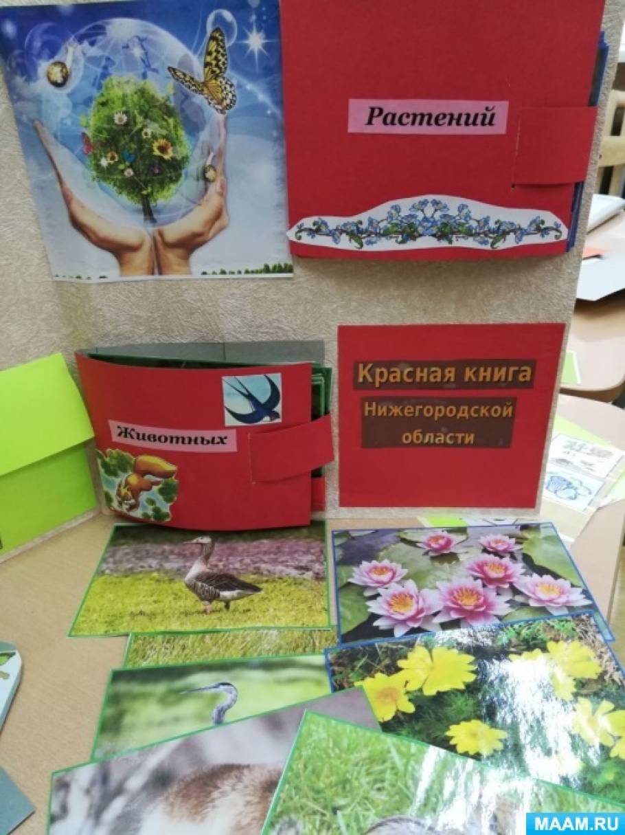 detsad 2403184 1600673802 Лэпбук по экологии как сделать