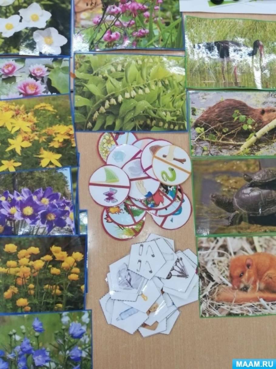 detsad 2403184 1600673829 Лэпбук по экологии как сделать