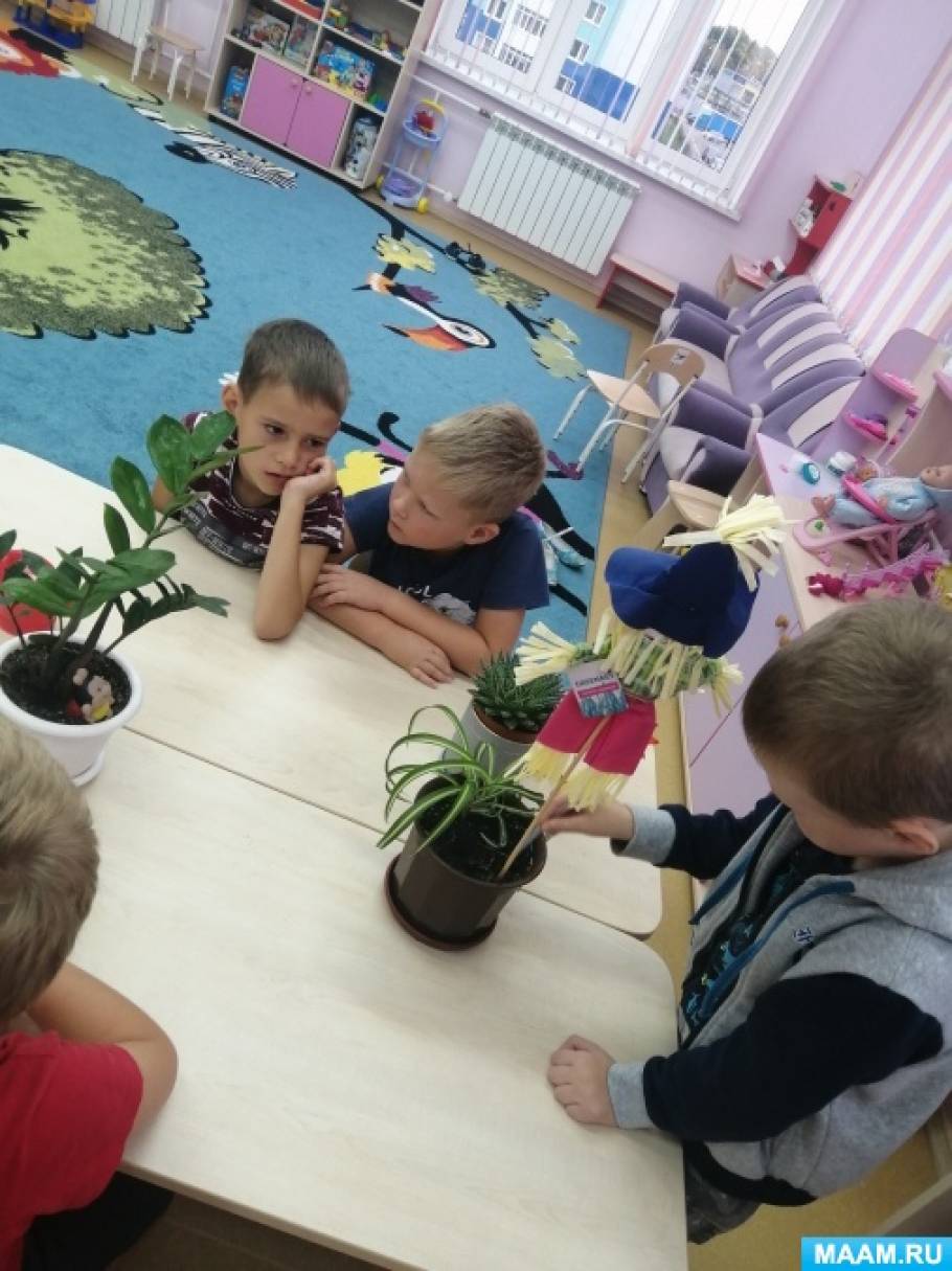 Польза комнатных растений в детском саду