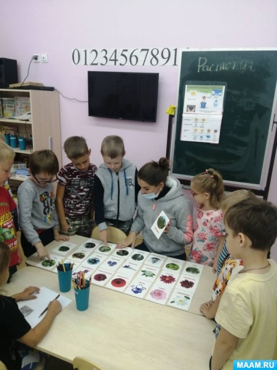 Польза комнатных растений в детском саду