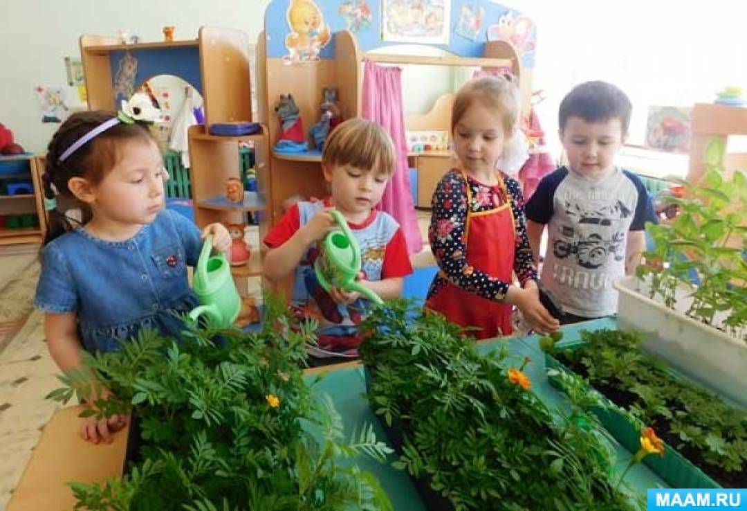 Занятие по экологии в доу. Экология в детском саду. Занятие по экологии в детском саду. Экология в ДОУ.