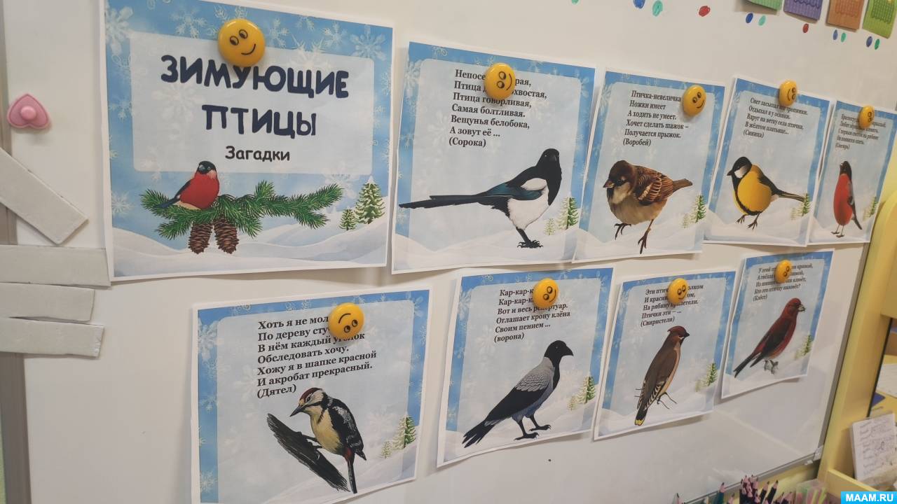Занятие по развитию речи «Зимующие птицы»