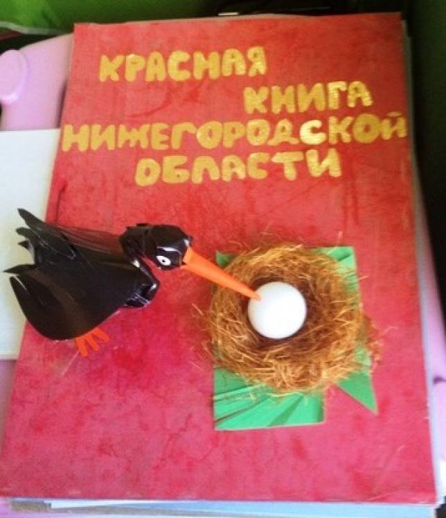 Красная Книга Нижегородской Области Животные Фото