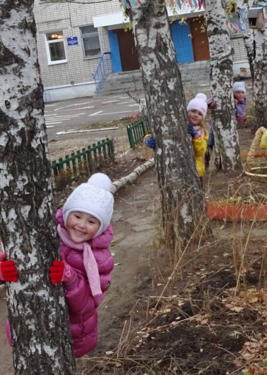 Как выглядят разные деревья осенью. Смотреть фото Как выглядят разные деревья осенью. Смотреть картинку Как выглядят разные деревья осенью. Картинка про Как выглядят разные деревья осенью. Фото Как выглядят разные деревья осенью