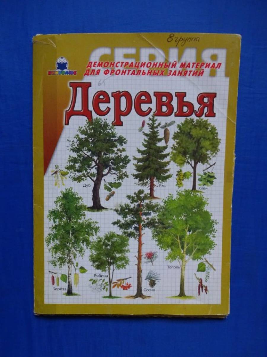 Как выглядят разные деревья осенью. Смотреть фото Как выглядят разные деревья осенью. Смотреть картинку Как выглядят разные деревья осенью. Картинка про Как выглядят разные деревья осенью. Фото Как выглядят разные деревья осенью