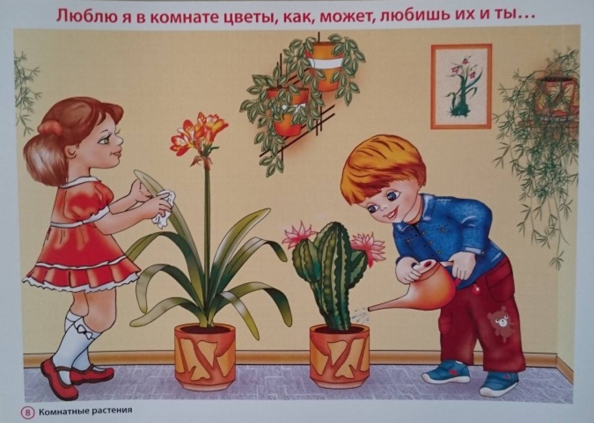 что дарят нам растения. Смотреть фото что дарят нам растения. Смотреть картинку что дарят нам растения. Картинка про что дарят нам растения. Фото что дарят нам растения