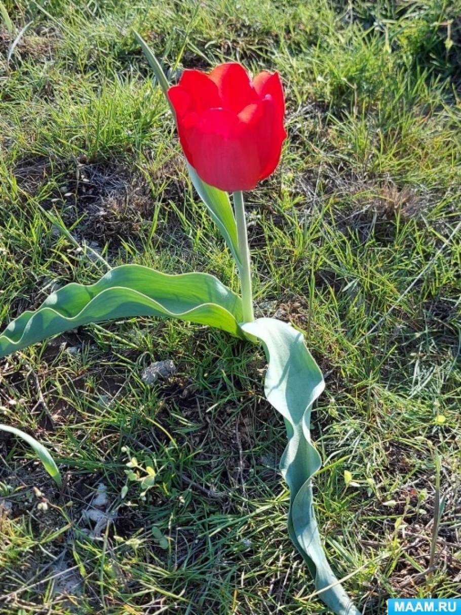 ��������� ����� �������� � ���������� �������� 2021�