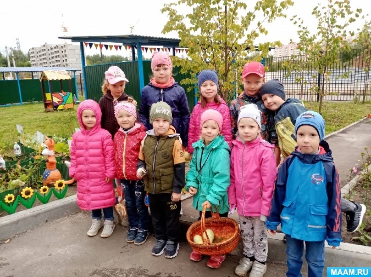 О емельянова что растет на огороде. Смотреть фото О емельянова что растет на огороде. Смотреть картинку О емельянова что растет на огороде. Картинка про О емельянова что растет на огороде. Фото О емельянова что растет на огороде