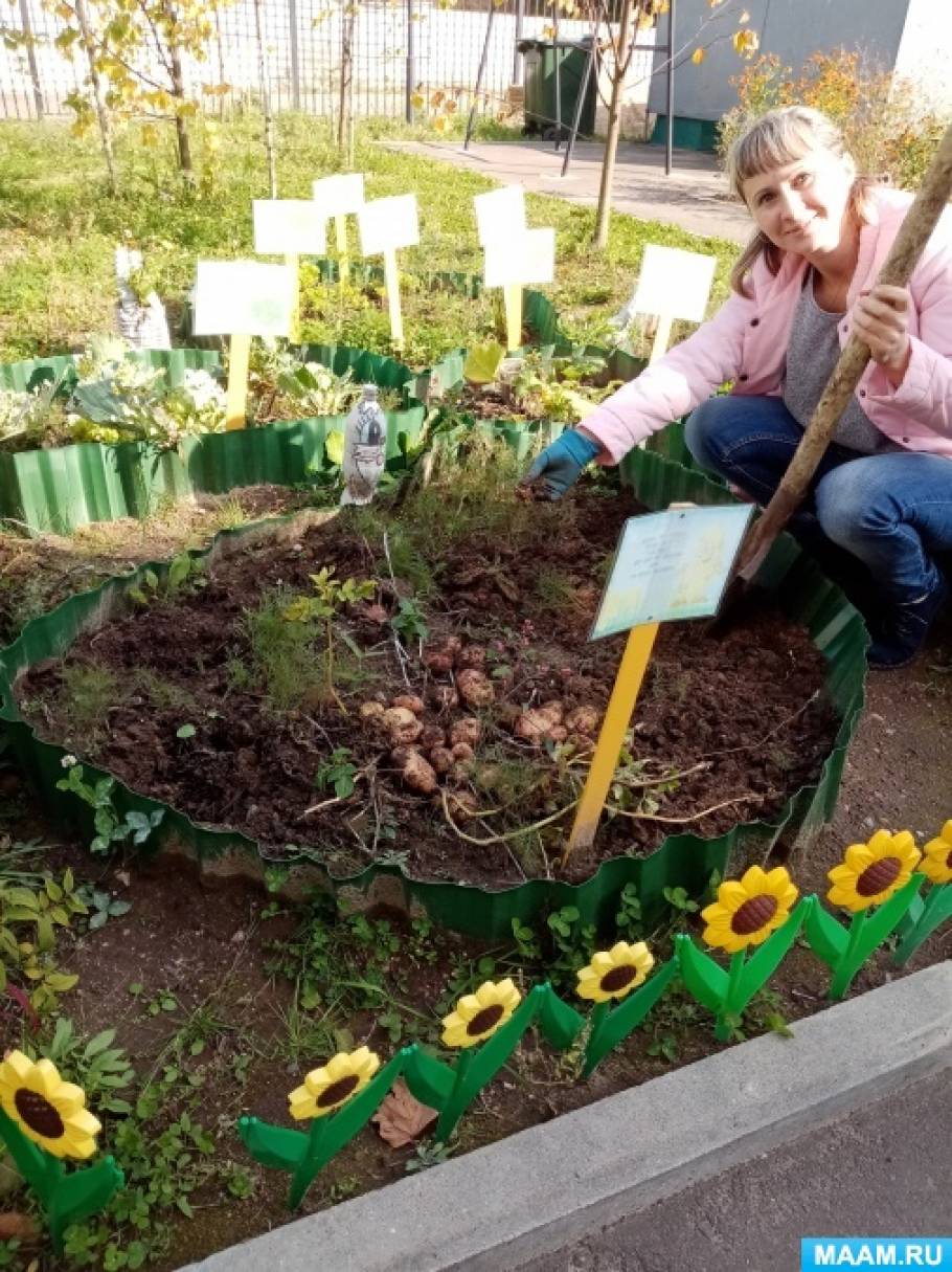 О емельянова что растет на огороде. Смотреть фото О емельянова что растет на огороде. Смотреть картинку О емельянова что растет на огороде. Картинка про О емельянова что растет на огороде. Фото О емельянова что растет на огороде