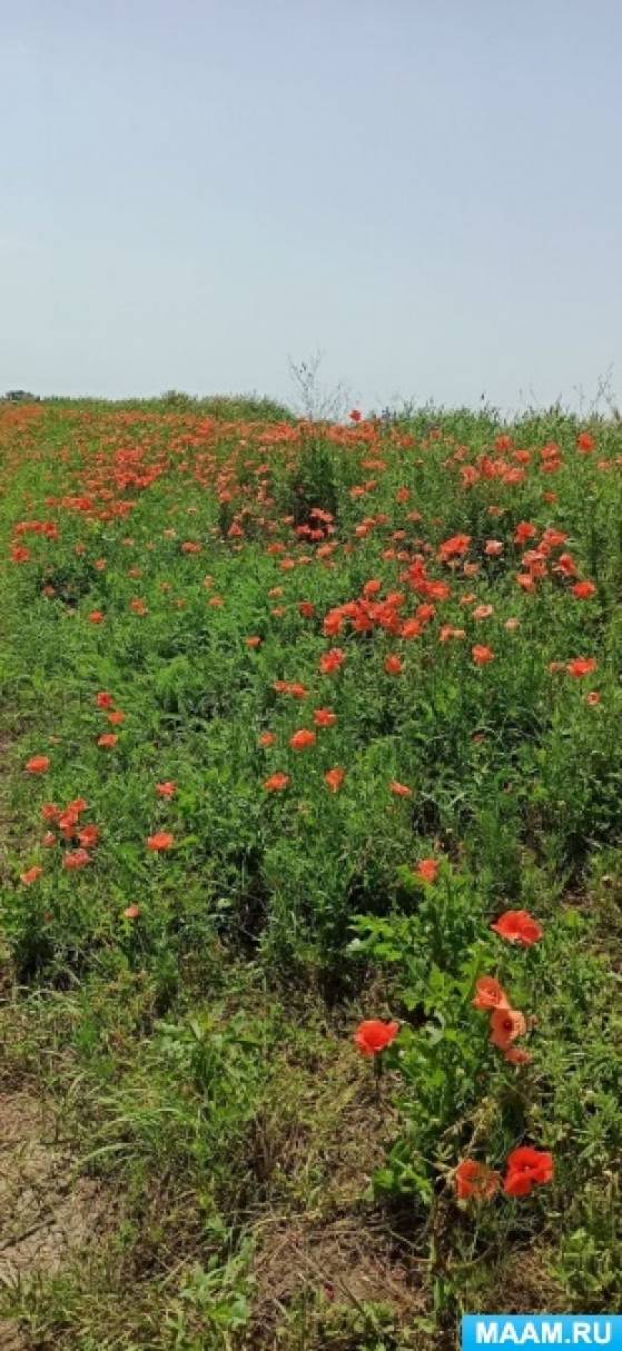 стихотворение вот оно какое наше лето. detsad 2459131 1630521514. стихотворение вот оно какое наше лето фото. стихотворение вот оно какое наше лето-detsad 2459131 1630521514. картинка стихотворение вот оно какое наше лето. картинка detsad 2459131 1630521514