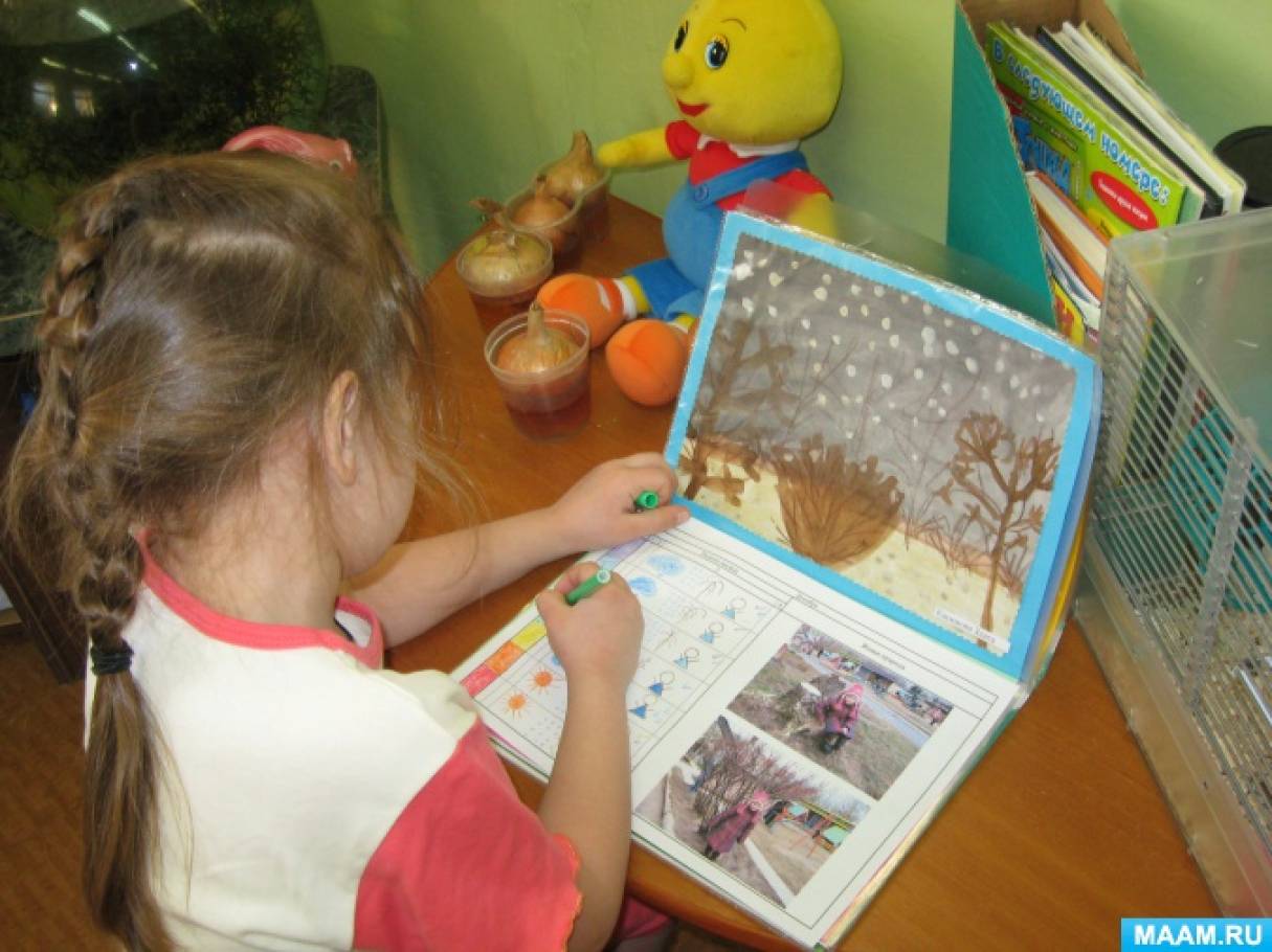 2017 год — год экологии! Календарь природы Фото 2017 год — год экологии! Календарь природы