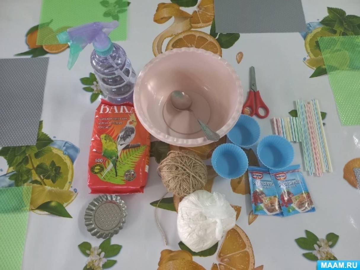 Мастер-класс по изготовлению экокормушки «Подарок для синички» для детей старшего дошкольного возраста