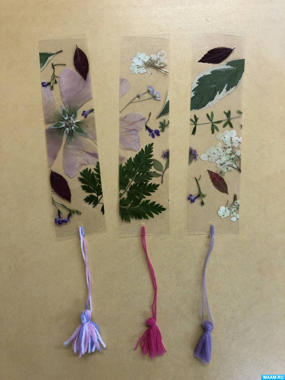 Мастер-класс по изготовлению закладок для книг из сухих цветов и ...
