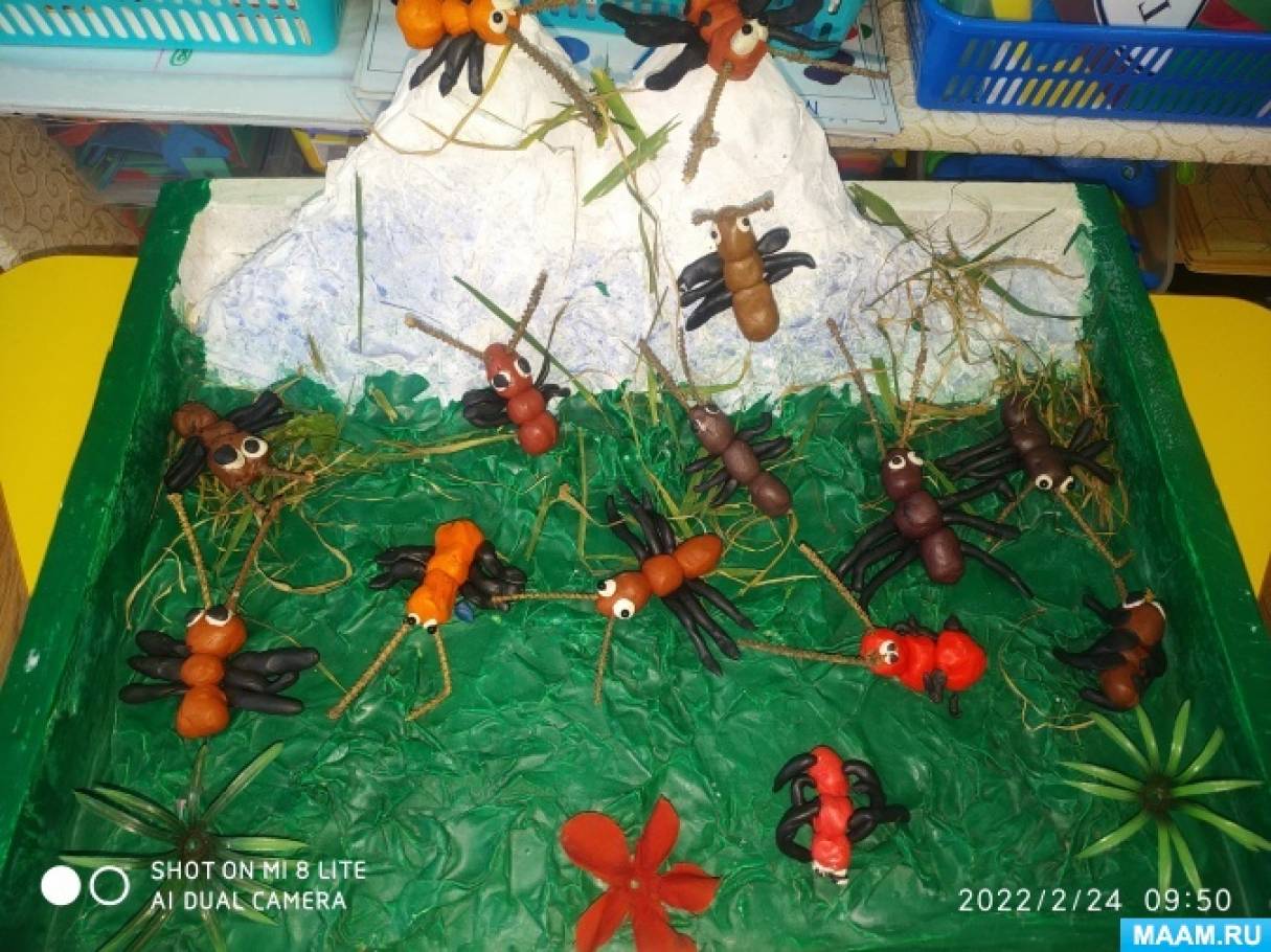 Занятие по лепке в старшей группе «Муравьи и муравейник»