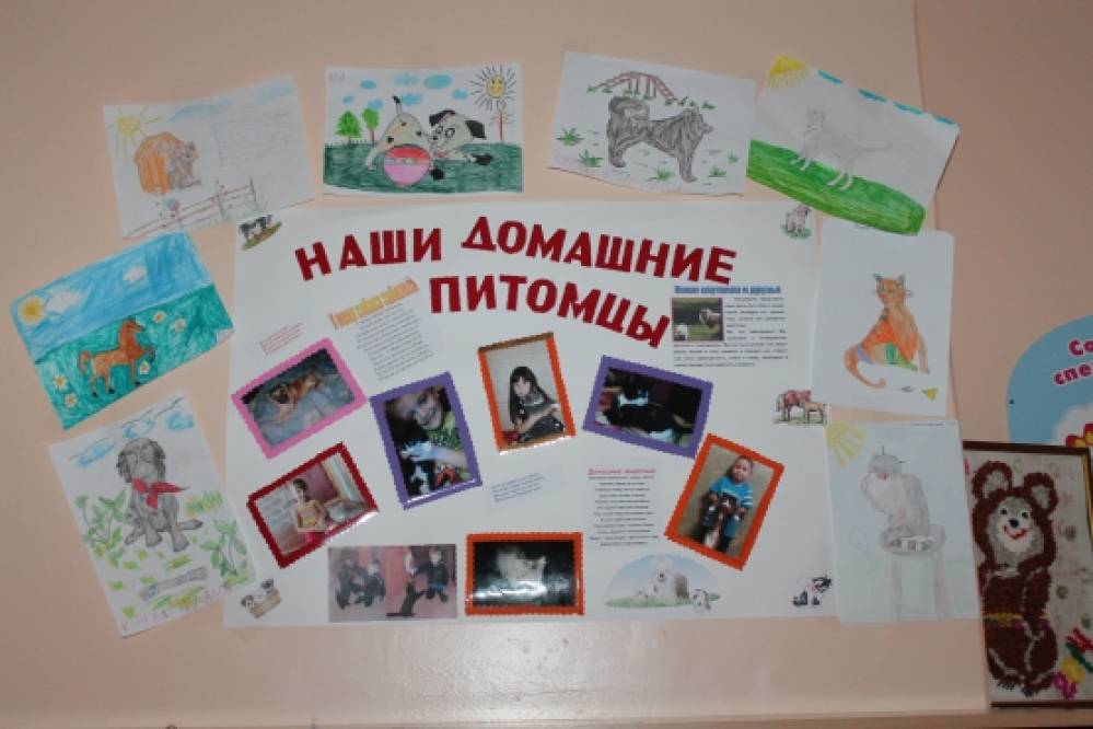 Стенгазета «Наши домашние питомцы» Фото Стенгазета «Наши домашние питомцы»